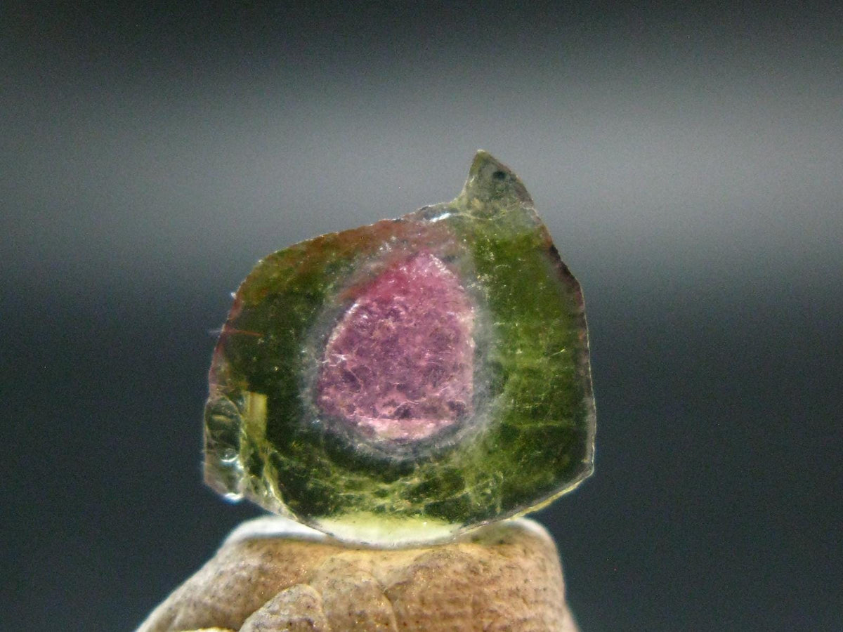 Rare Watermelon Tourmaline Crystal Slice From Brazil - 2.70 Carats