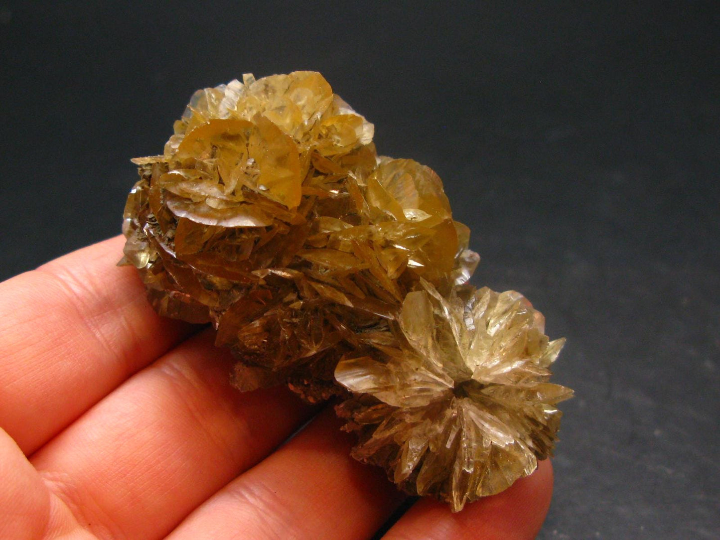 Amazing Fluorescent Gypsum Crystal from Canada - 2.3" - 40.40 Grams