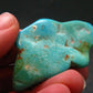 Genuine Polished Turquoise from Arizona, USA - 1.9" - 12.76 Grams