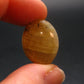 Tumbled Polished Gem Yellow Sapphire Corundum Crystal From Sri Lanka - 0.8" - 36.60 Carats