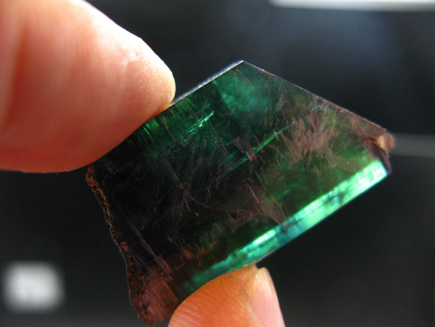 Vivianite Crystal From Bolivia - 1.5" - 11.50 Grams