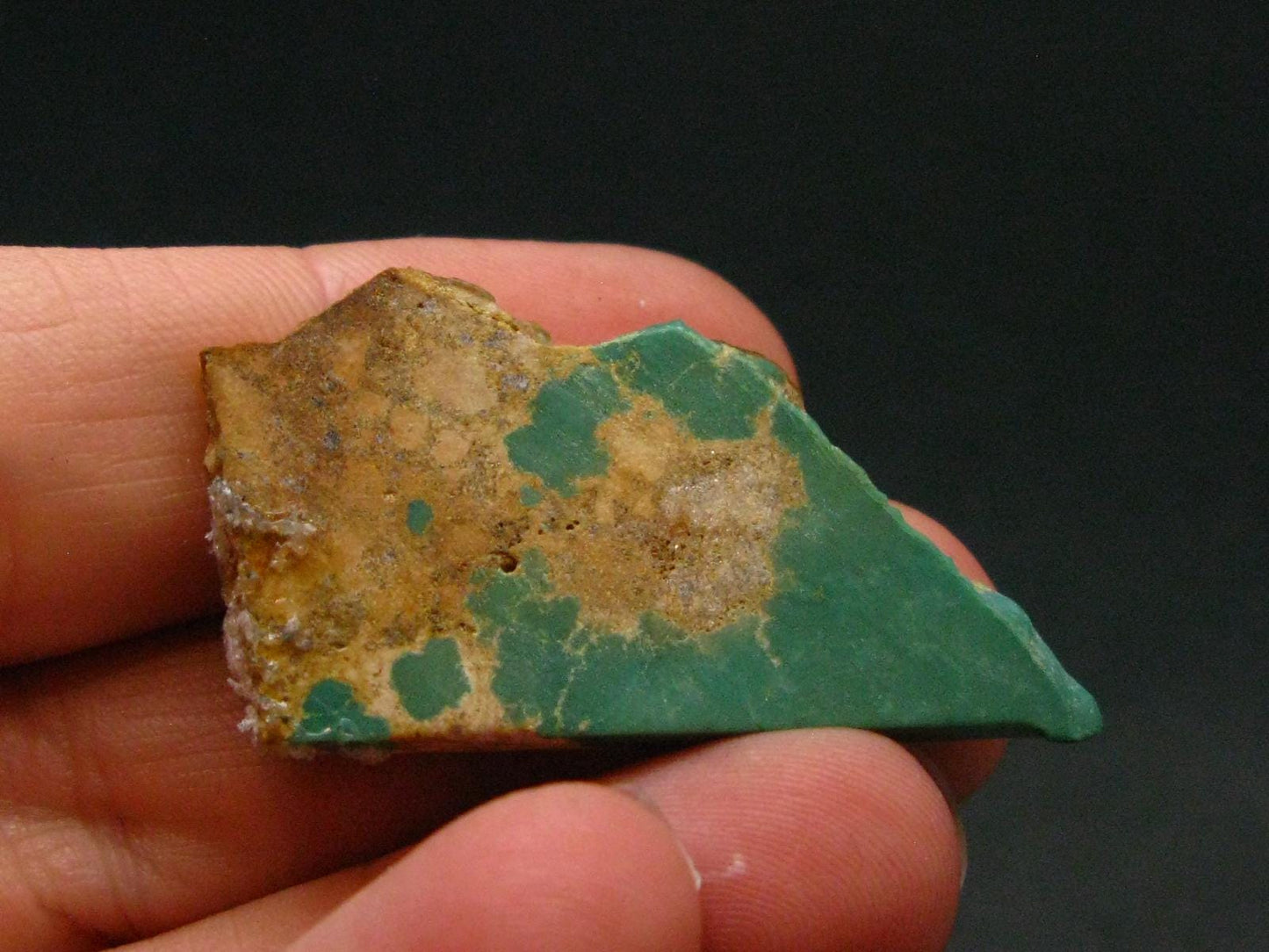 Genuine Tumbled Turquoise from Arizona, USA - 1.3" - 4.53 Grams