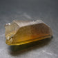 Stunning Natural Unheated Citrine Crystal from Zambia - 19.69 Grams - 1.6"