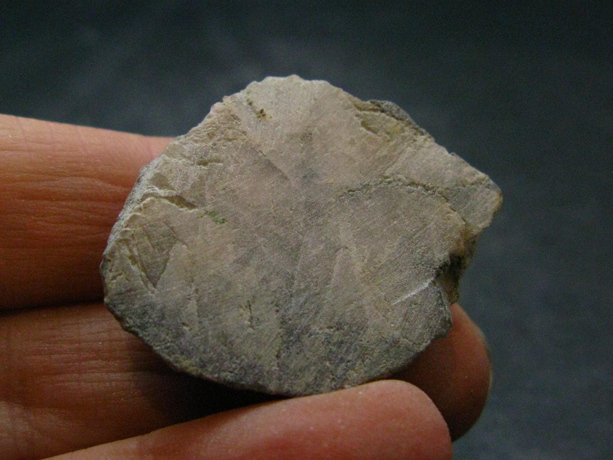 Phenakite Phenacite Polished Slice From Brazil - 10.0 Grams - 1.3"