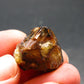 Cassiterite Crystal From Bolivia - 0.7" - 13.11 Grams