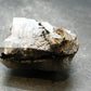 Brookite On Quartz Cluster From Arkansas - 36.46 Grams - 1.6"