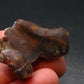 Fire Agate Crystal From Mexico - 1.3" - 10.0 Grams