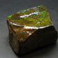 Ammolite Ammollite Fossil From Alberta Canada - 1.8" - 91.72 Grams
