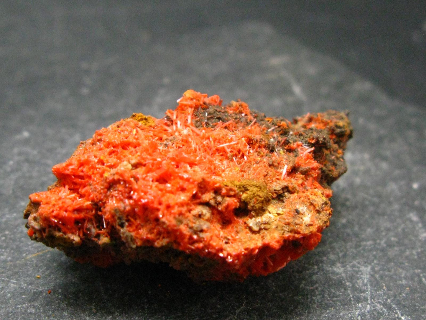 Rare Orange Crocoite Cluster From Australia - 1.6"- 13.49 Grams