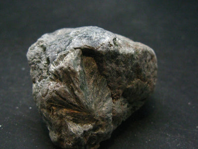 Rare Raw Polished Seraphinite Clinochlore Angels Wings Piece From Russia - 1.8"