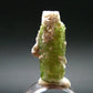 Rare Watermelon Tourmaline Crystal From Brazil - 1.4" - 60.0 Carats