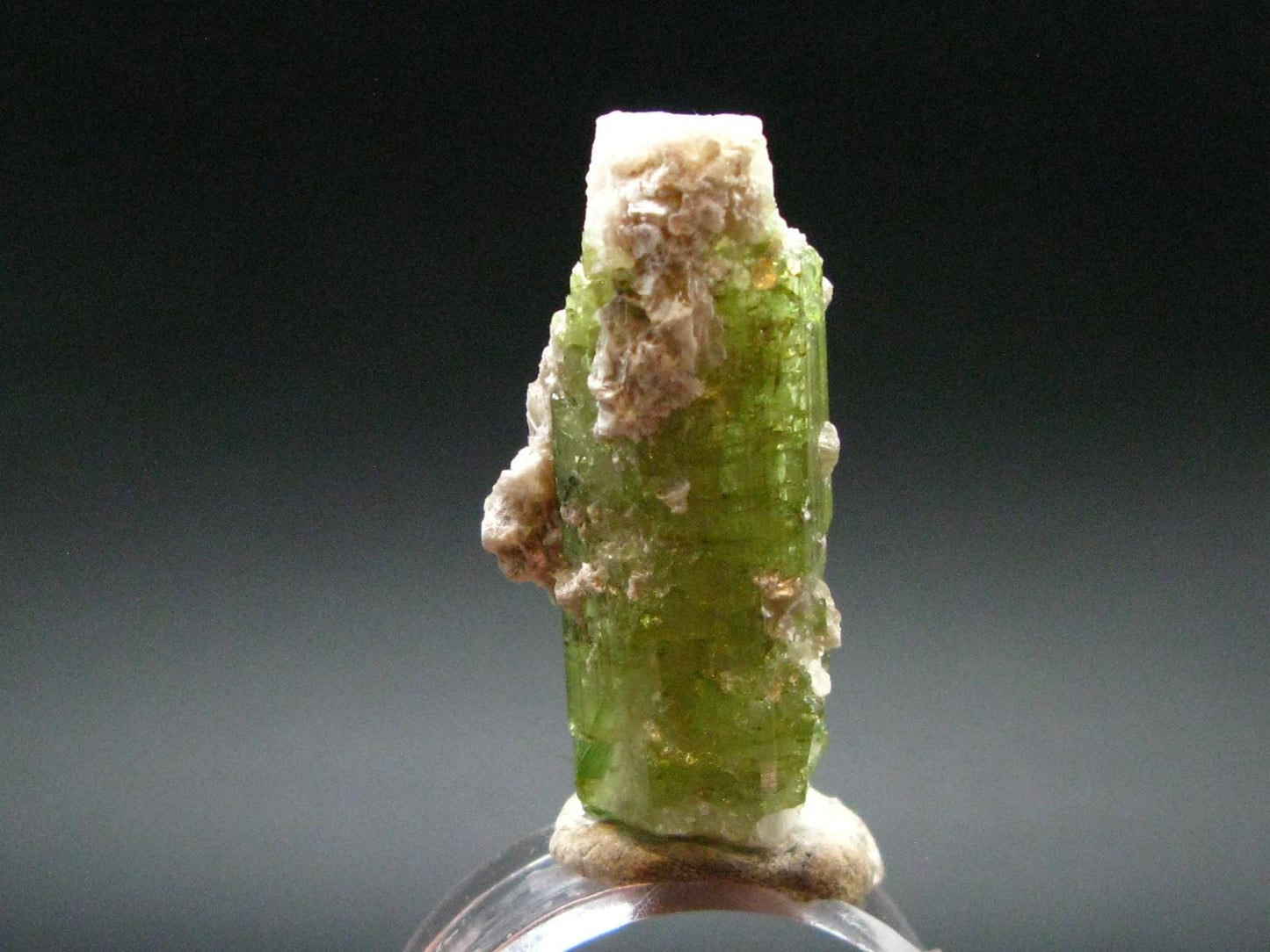 Rare Watermelon Tourmaline Crystal From Brazil - 1.4" - 60.0 Carats