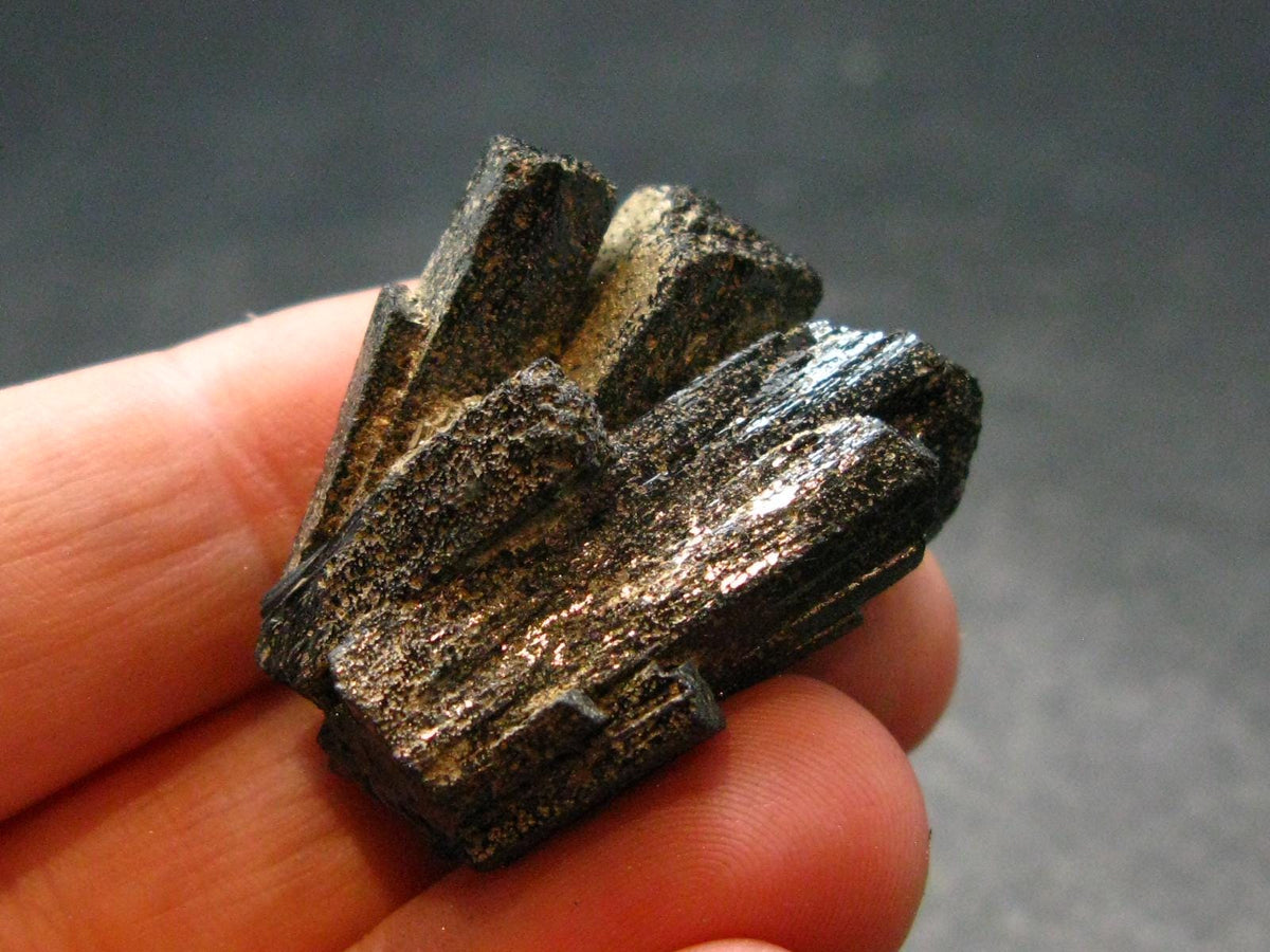 Ilvaite Crystal From China - 1.1" - 17.08 Grams
