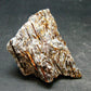 Astrophylite Astrophyllite Cluster From Russia - 2.4" - 65.46 Grams
