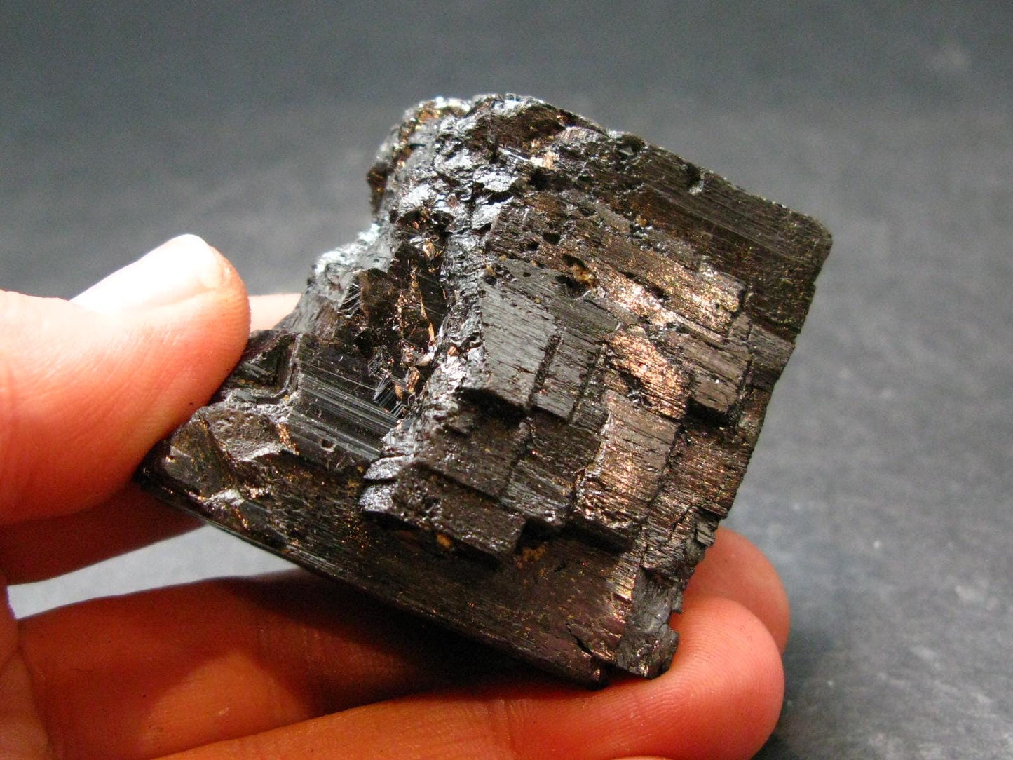 Wolframite Crystal From Portugal - 1.7" - 181.35 Grams