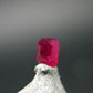 Beautiful Rare Gem Bixbite Red Beryl Emerald Cut Stone From Utah USA - 0.17 Carats - 3.4x2.8mm
