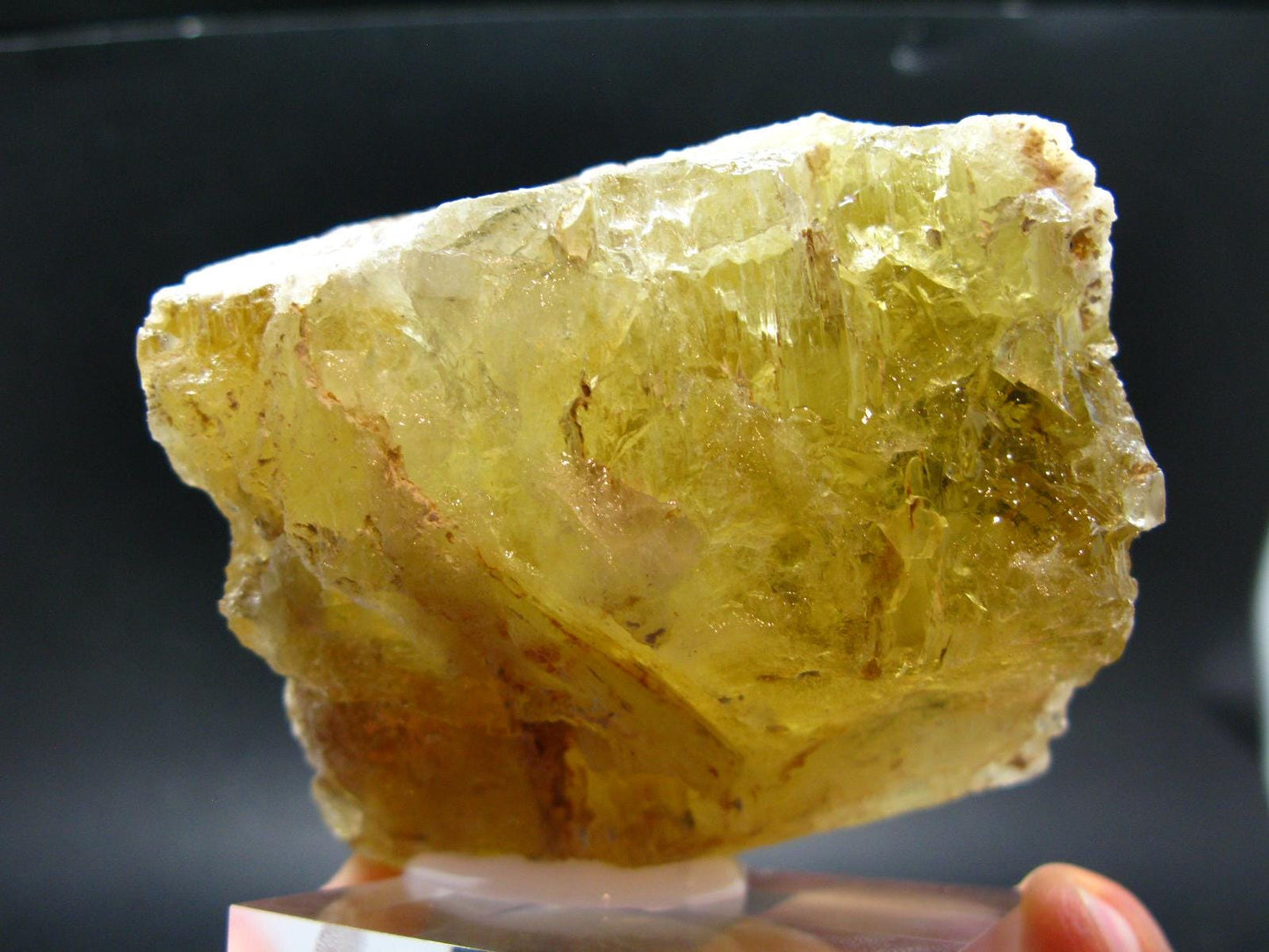 Heliodor (Yellow Beryl) Gem Crystal from Brazil - 548 Grams - 3.9"