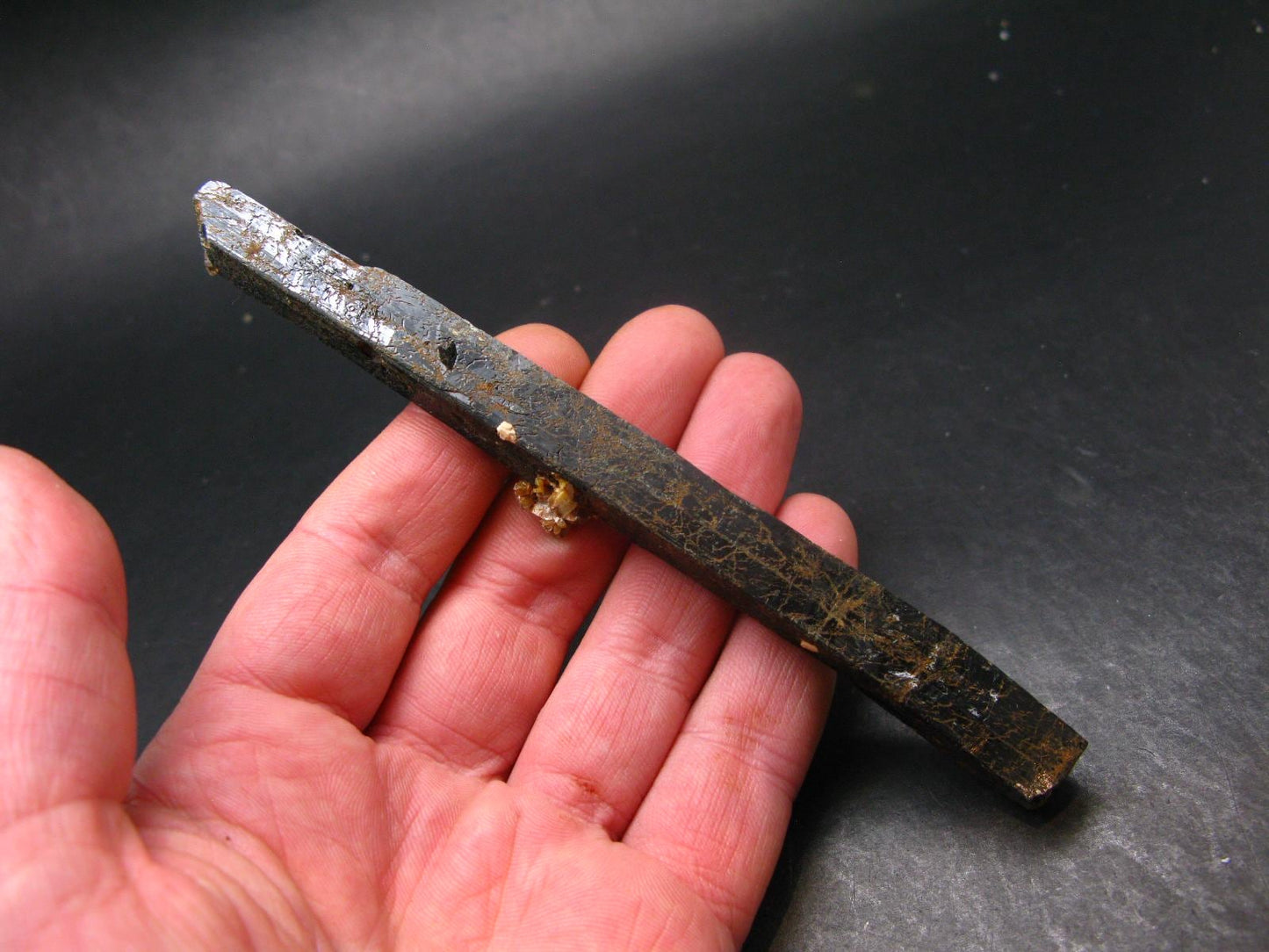 Aegirine Crystal From Malawi - 5.8" - 54 Grams