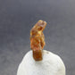 Rare Gem Bastnasite Crystal from Pakistan - 0.6" - 8.1 Carats