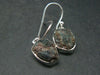 Alexandrite Sterling Silver Earrings from Zimbabwe - 1.2" - 4.04 Grams