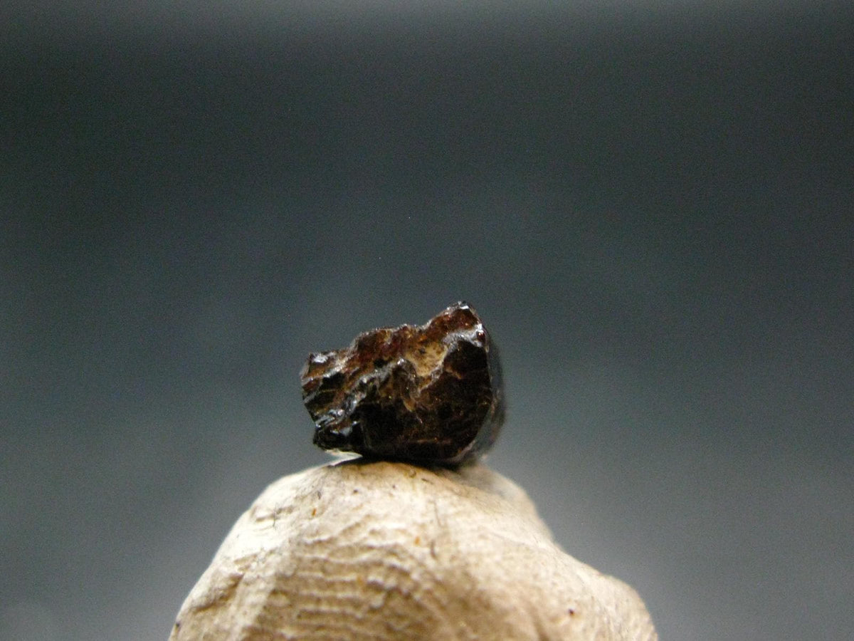 Rare Painite Crystal From Myanmar - 2.20 Carats