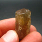 Golden Scapolite Crystal from Morocco - 41.30 Carats - 1.2"
