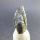Moldavite Tektite Raw Piece from Czech Republic - 1.0" - 35.2 Carats - 7.0 Grams