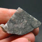 Phenakite Phenacite Polished Slice From Brazil - 12.81 Grams - 1.4"