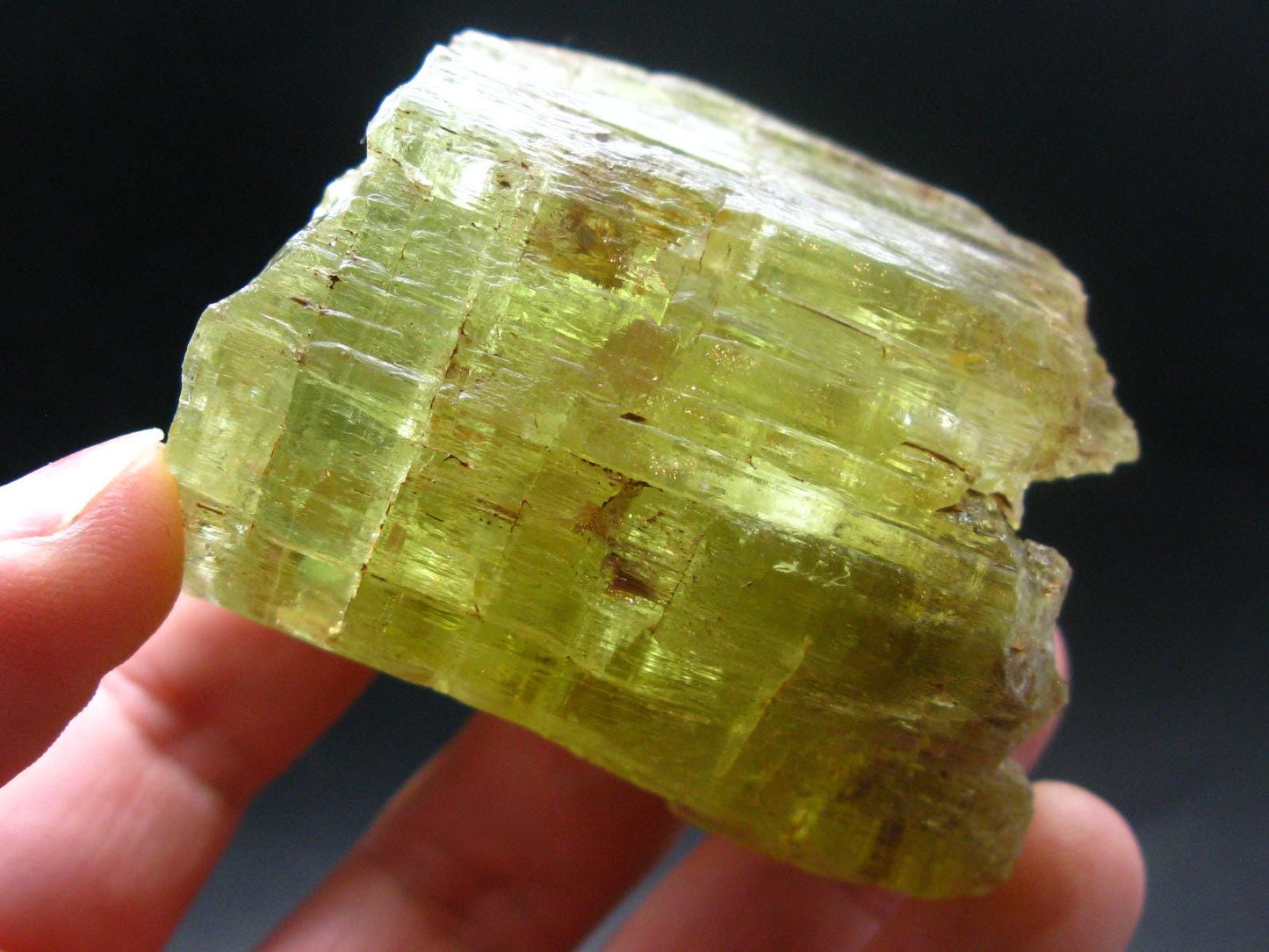 Gem Heliodor Golden Beryl Crystal From Tanzania - 243.63 Grams - 2.6"