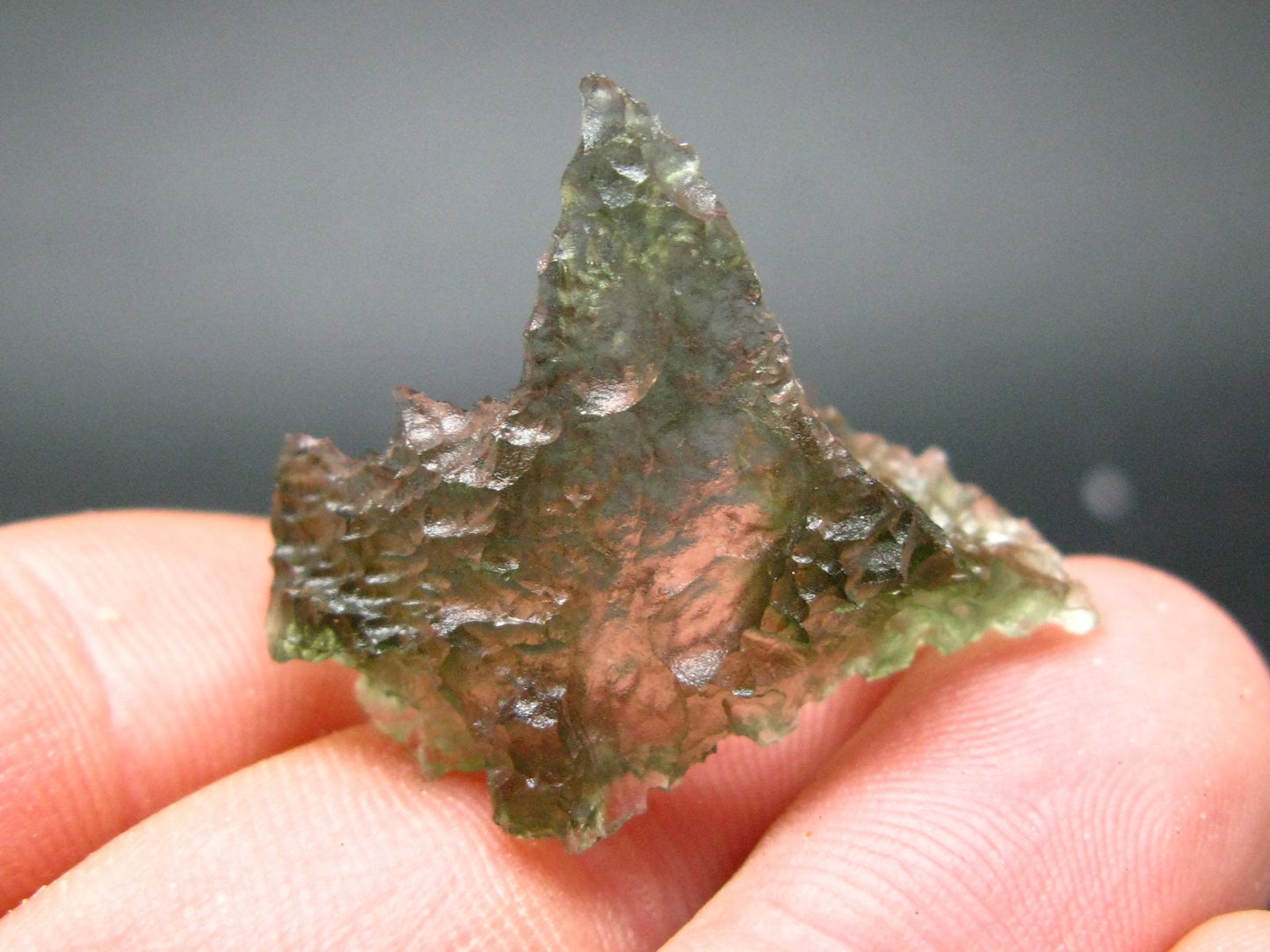 Rare Besednice Moldavite Tektite From Czech Republic - 1.3" - 12.70 Carats