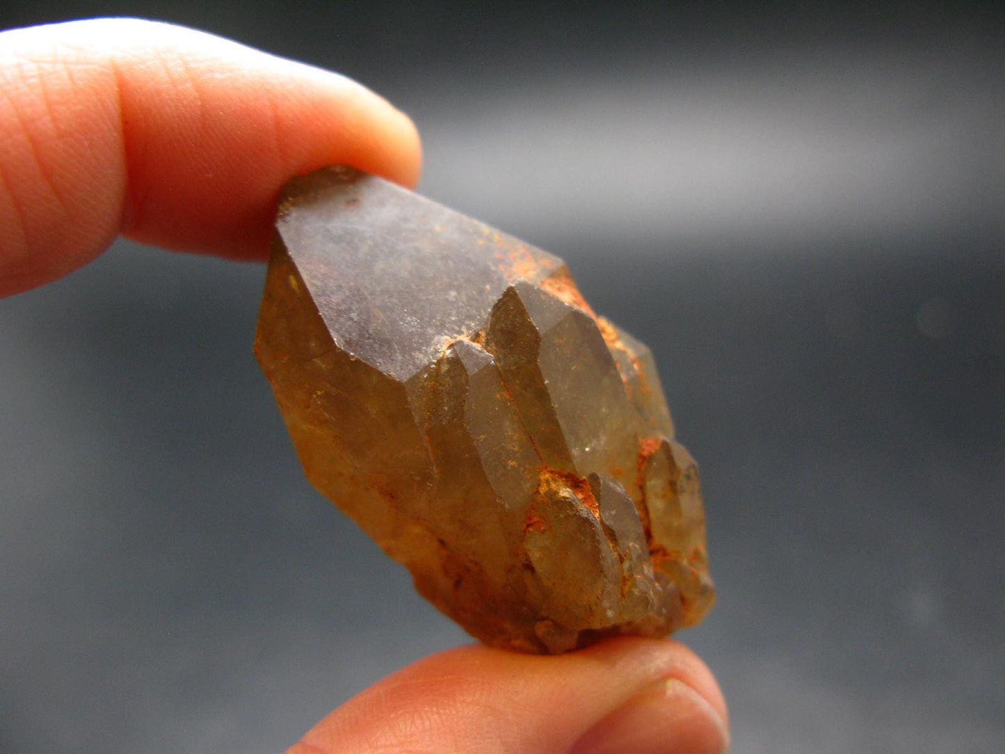 Stunning Natural Unheated Citrine Crystal from Zambia - 16.49 Grams - 1.5"