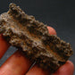 Large Fulgurite Lightning Rock From Sahara Desert - 2.2"