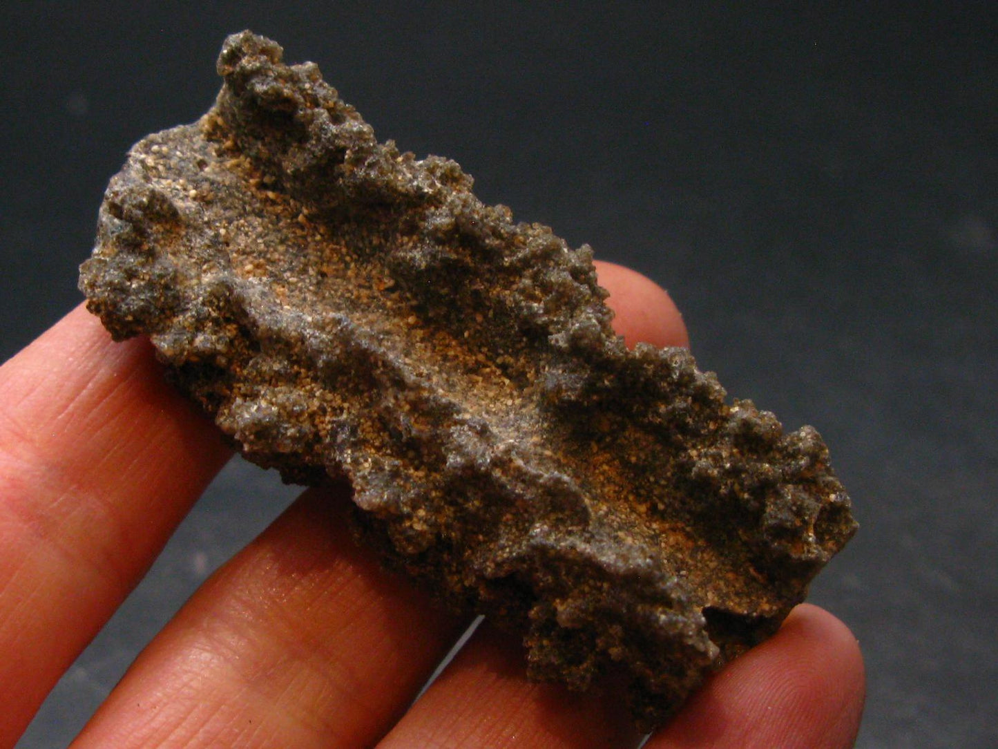 Large Fulgurite Lightning Rock From Sahara Desert - 2.2"