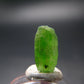 Rare Neon Tremolite Crystal from Tanzania - 0.6" - 3.95 Carats