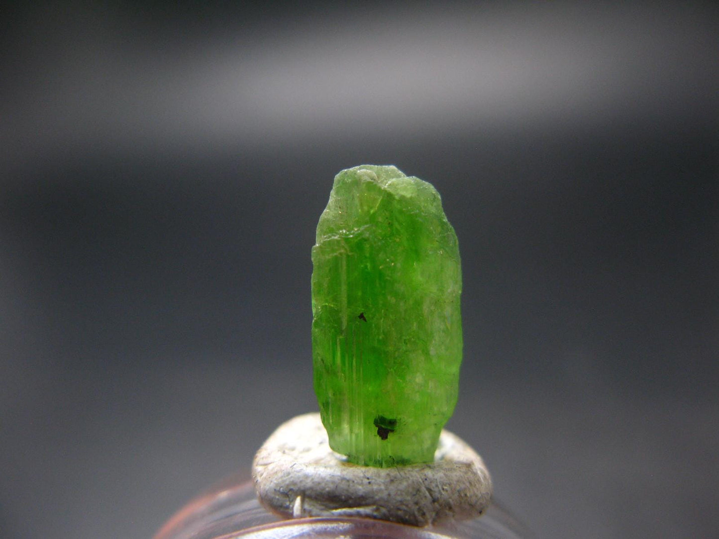 Rare Neon Tremolite Crystal from Tanzania - 0.6" - 3.95 Carats