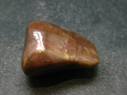 Rare Bustamite Tumbled Stone from South Africa - 1.0" - 15.08 Grams