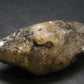Rare Witches Finger Quartz Crystal Tumble From Zambia - 2.5" - 62.82 Grams