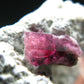 Rare Gem Bixbite Red Emerald Beryl Cluster From Utah USA - 1.3" - 7.49 Grams