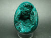 Very Rare Large Dioptase Egg From Congo - 2.4"