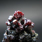 Rare Gem Proustite Cluster From Morocco - 0.7" - 2.20 Grams