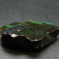 Ammolite Ammollite Fossil From Alberta Canada - 1.5" - 11.57 Grams