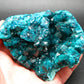 Stunning Dioptase cluster from Congo - 3.5"