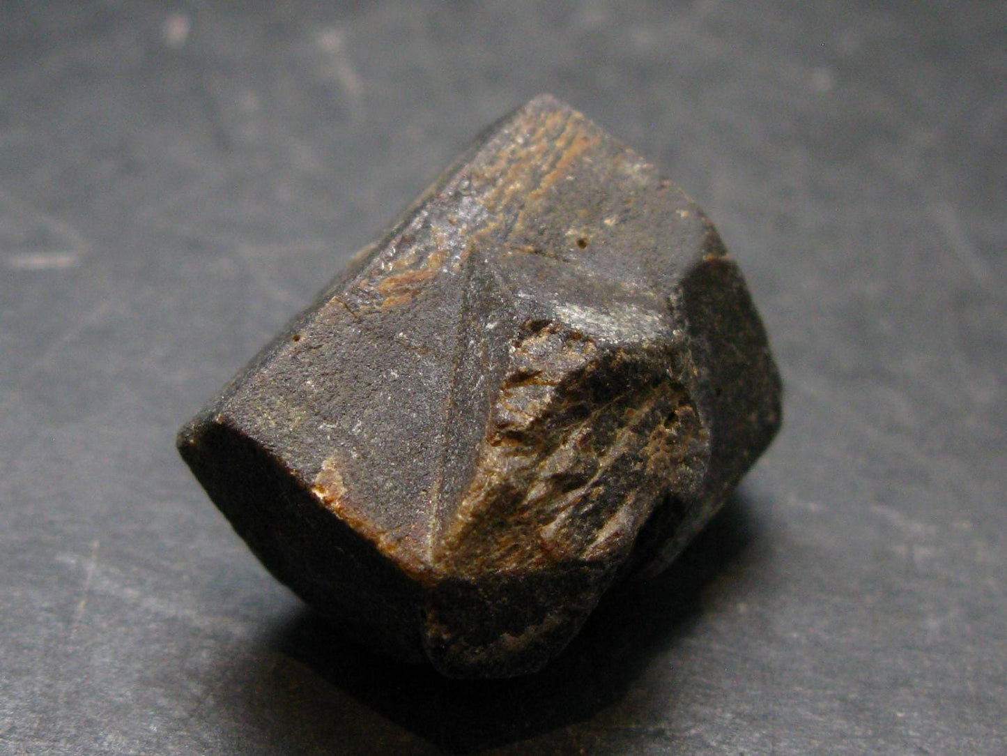 Staurolite Crystal from USA - 20.51 Grams - 0.9"