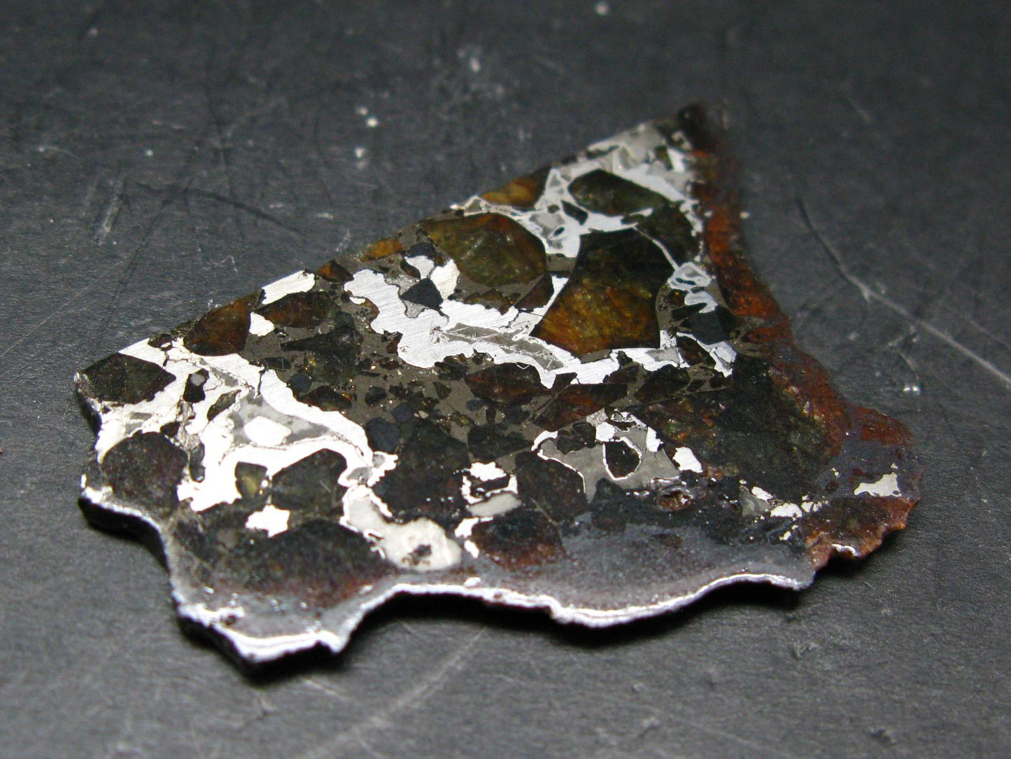 Large Brahin Meteorite Pallasite Olivine Slice From Belarus - 2.4" - 8.82 Grams
