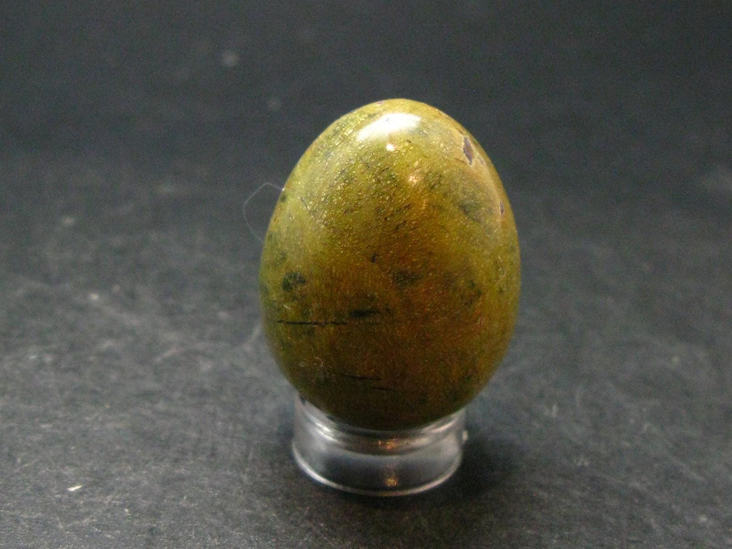 Rare Atlantasite Stichtite + Serpentine Egg from Australia - 1.2"
