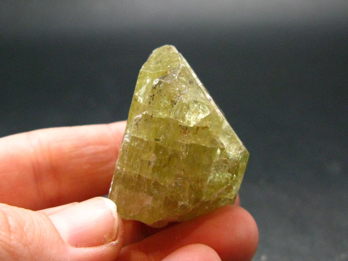 Large Gold Apatite Crysatl from Mexico - 41.44 Grams - 1.5"