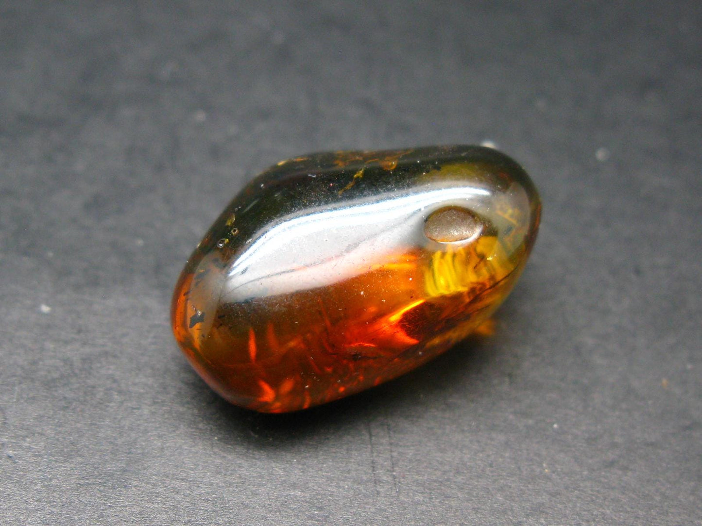 Insects in Amber Piece From Baltic Sea - 5.34 Grams - 1.2"