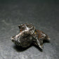 Sikhote Alin Meteorite From Russia - 5.20 Grams - 0.9"