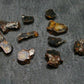 Lot of 10 Sericho Pallasite Meteorite Pieces From Kenya - 4.23 Grams