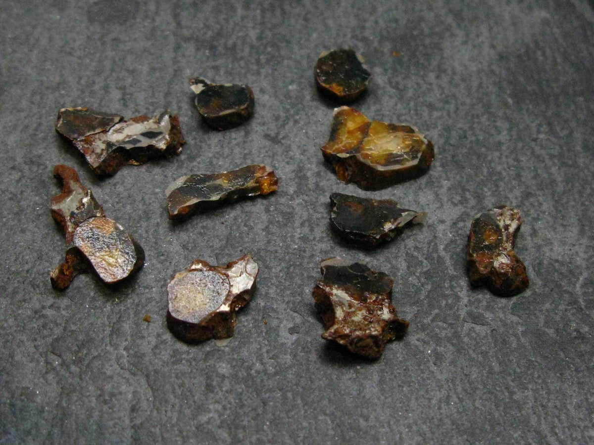 Lot of 10 Sericho Pallasite Meteorite Pieces From Kenya - 4.23 Grams